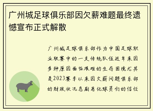 广州城足球俱乐部因欠薪难题最终遗憾宣布正式解散